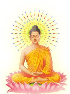 buddha